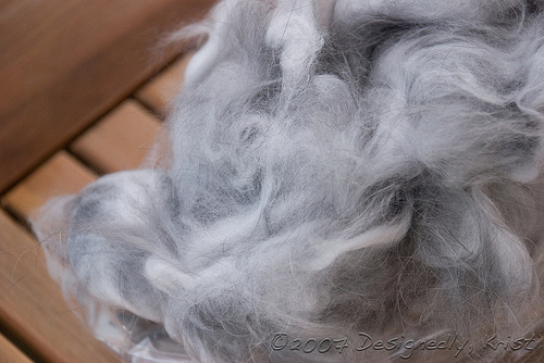 Angora