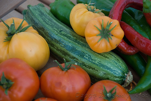 Garden Bounty