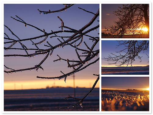 Iced Sunrise Mosaic
