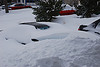 The Driveway
