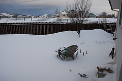 The Backyard to the NW