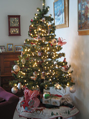 White Elephant Tree