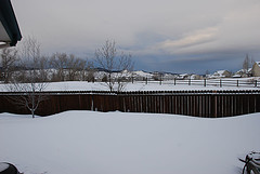The Backyard to the West