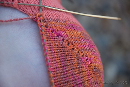 The Purl Side of the Sherman Heel