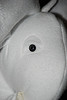 White Elephant Eyes