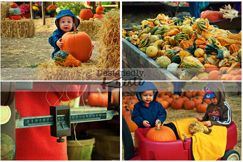 Pumpkin Fun at Osborn Farm Market Days