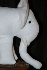 White Elephant Profile
