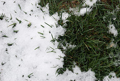 Spring in Colorado