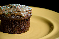 Lone Cupcake