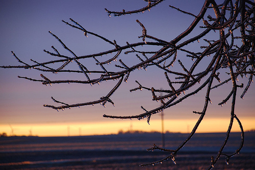 Minnesota Frosty Sunrise 2