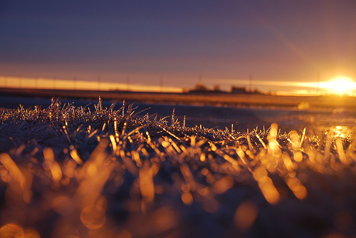 Minnesota Frosty Sunrise 4