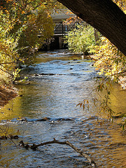 Creek in Park