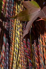 Color Me Earthy Handspun in an Autumn Tree