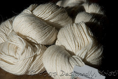 DSC_6079wtmk.jpg