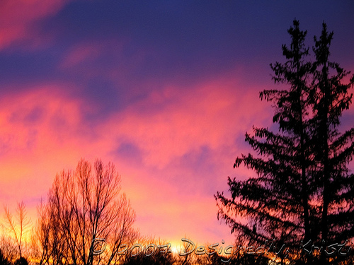 Neighborhood Sunrise 3