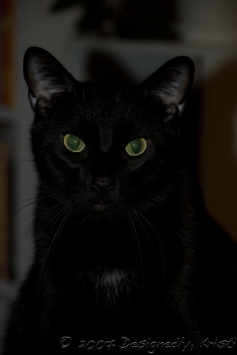 Chaos *Loves* Me!
