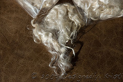 DSC_6086wtmk.jpg