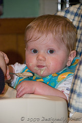 Teddy's Dinner
