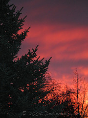 Neighborhood Sunrise 1