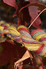 Color Me Earthy Singles
