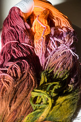 DSC_6037wtmk.jpg