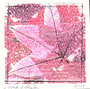 Art2 - Fall Leaves