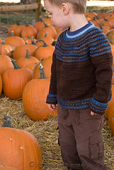 Boy Sundog in Pumpkin Patch