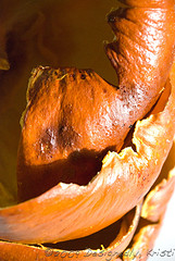 Pumpkin Shells