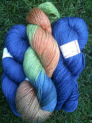 Possible Color Combo for Boy-Friendly Sundog