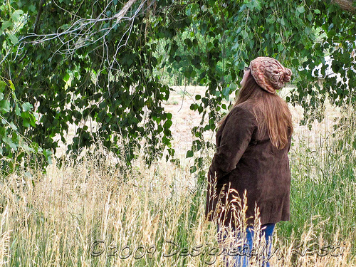 Woodland Trails as Hat