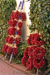 Ristras of Old Town Albuquerque