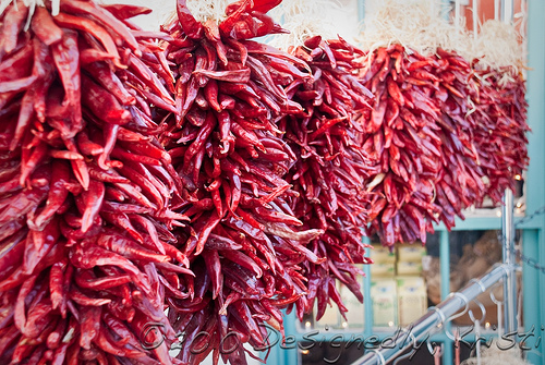 Ristras of Old Town Albuquerque