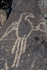 Raven Petroglyph