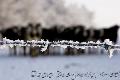 Farm Sights