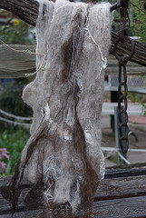 DSC_9090wtmk.jpg