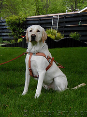 P5240451WTMK.JPG