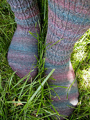Journeymen In The Grass