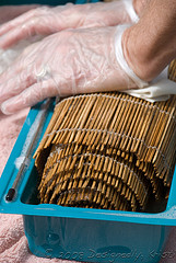 DSC_9067wtmk.jpg