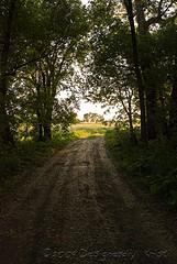 The West Road