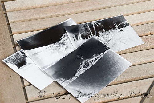 Pinhole Camera Paper Negatives