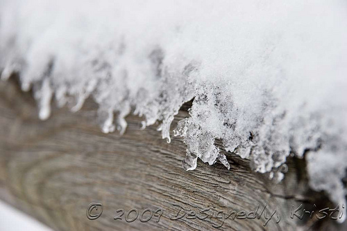 Snow On Fence