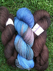 Possible Color Combo for Boy-Friendly Sundog
