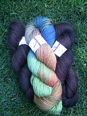 Possible Color Combo for Boy-Friendly Sundog