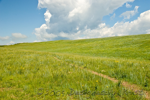 Soapstone-188wtmk.jpg
