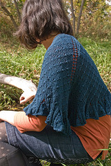 Tesni Shawl