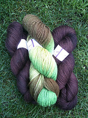 Possible Color Combo for Boy-Friendly Sundog