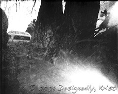 My First Pinhole Photo
