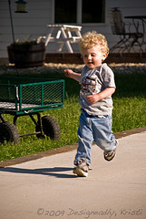 Teddy On The Run