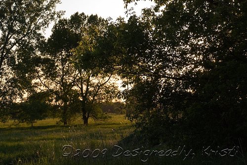 West Field Before Sunset