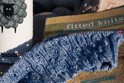 Sheepy Water Bottle and Drop Stitch Tank In Progress